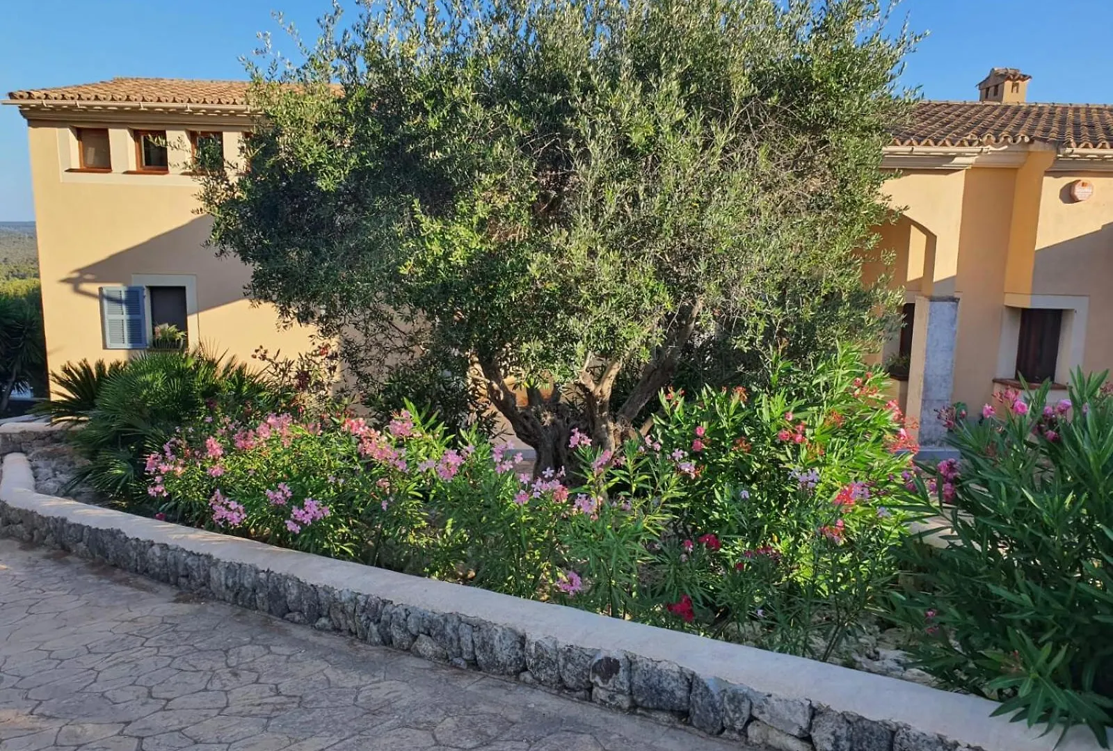 The House Villa Palma de Mallorca Spain
